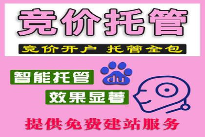 案例解析：竞价推广代运营助力企业实现精准营销